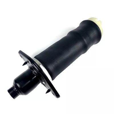 A6 C5 Air Spring L&amp;R عقب